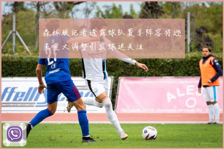 森林狼记者透露球队夏季阵容将迎来重大调整引发球迷关注