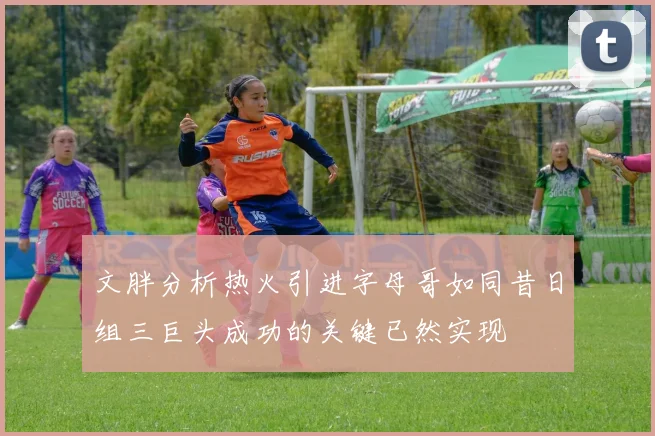 文胖分析热火引进字母哥如同昔日组三巨头成功的关键已然实现
